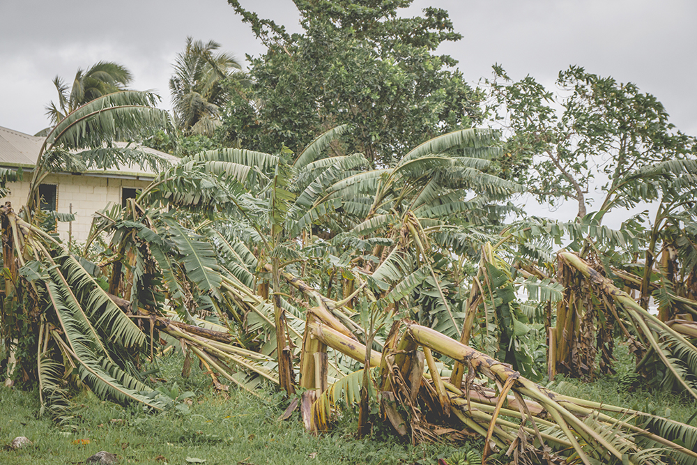 Tropical Cyclone Gita update report