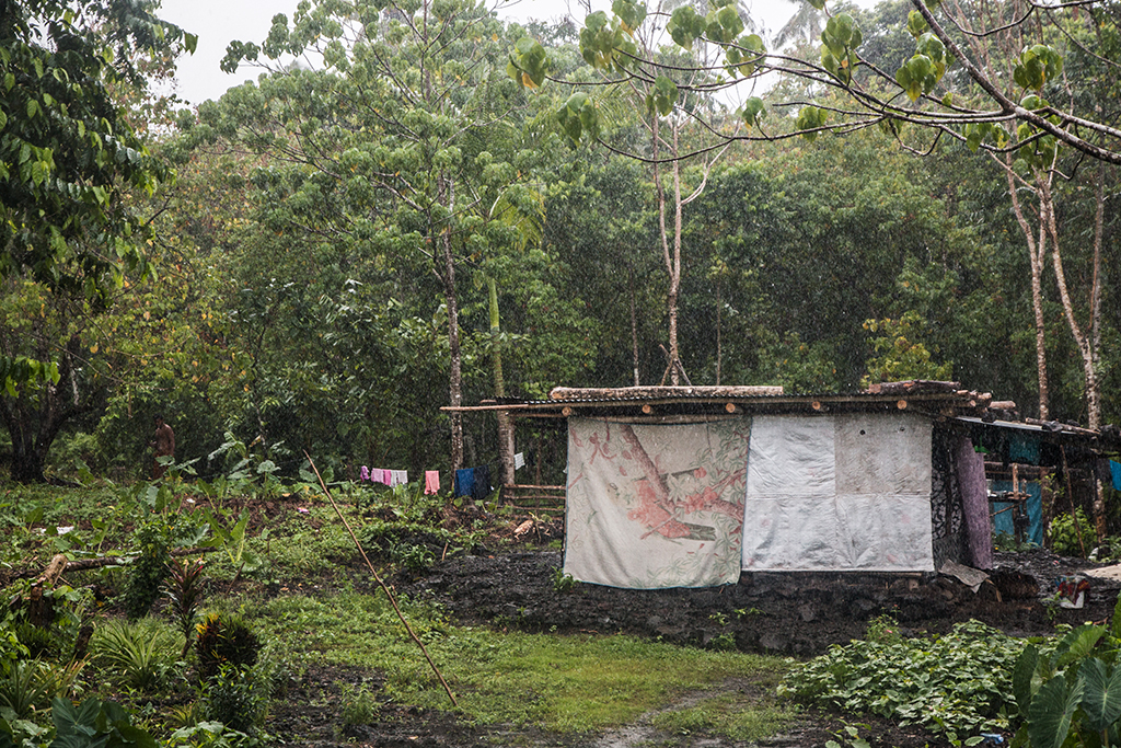 All we need is water