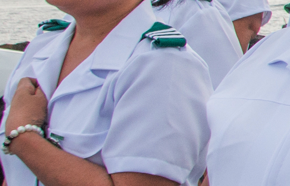 Nurses Association questions police charges