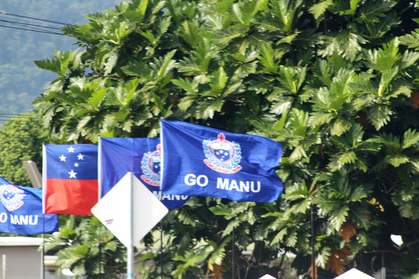 Samoa gets behind the Manu Samoa