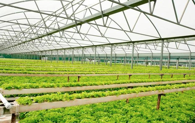 Agriculture potential highlighted