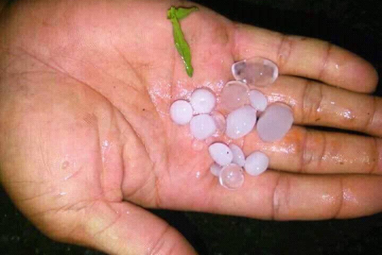 Hail in Savai'i