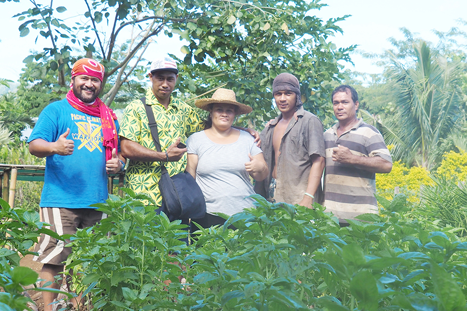 Keyhole garden technique can make huge difference