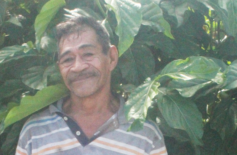 Traditional structure the answer to problems of today