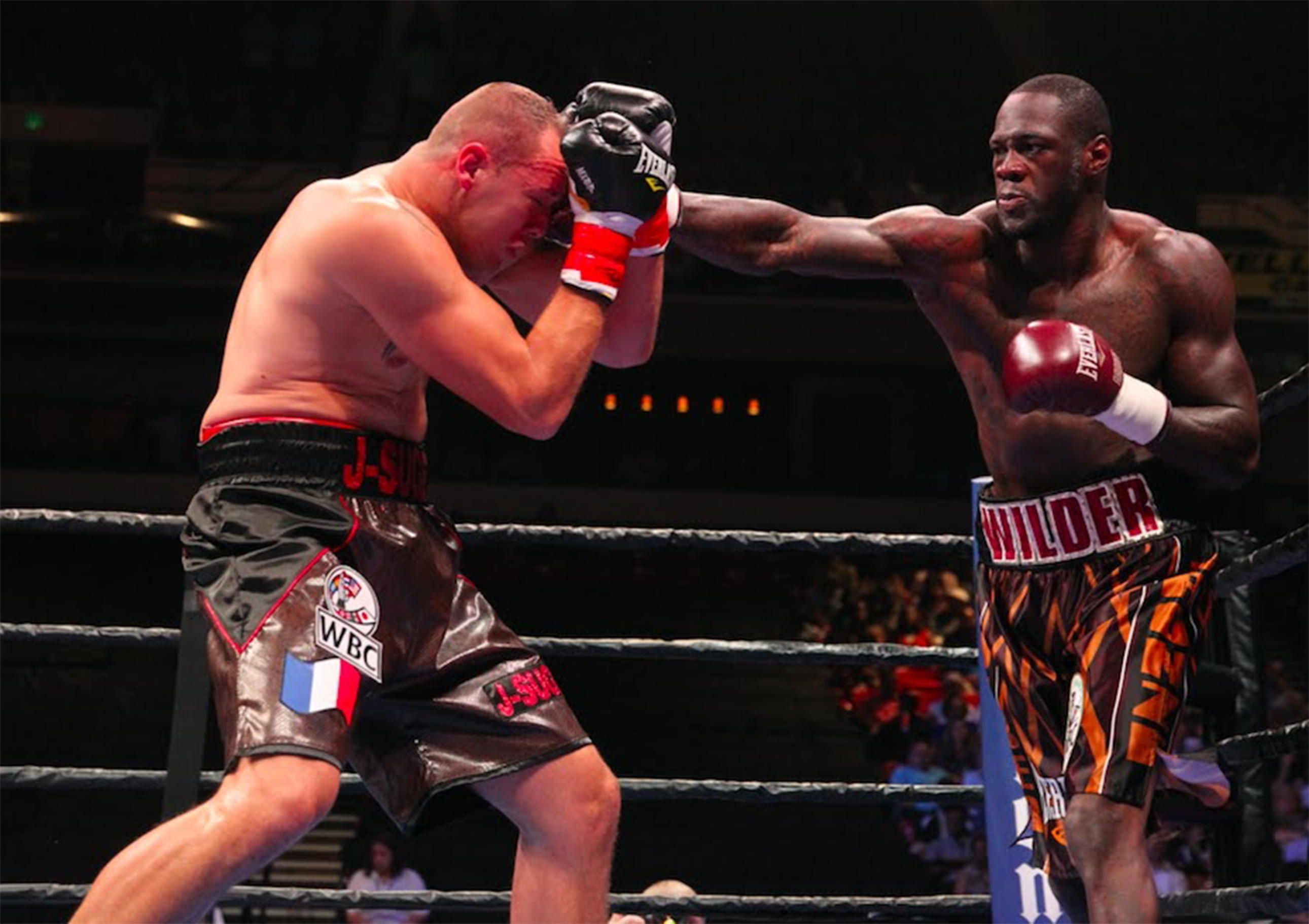 WBC champ Wilder can choose next opponent