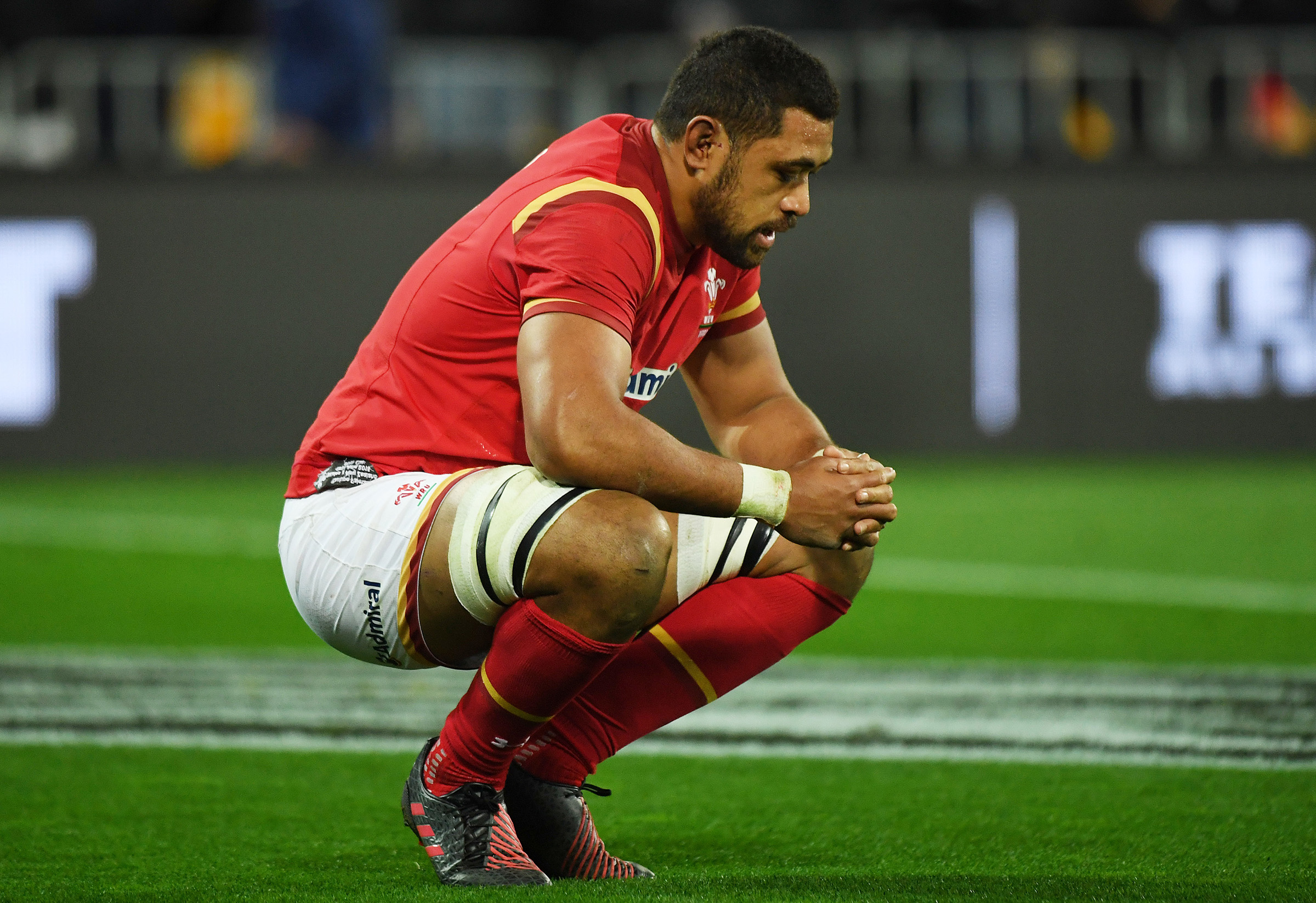 Wales stars North, Roberts, Faletau rely on wild-card picks