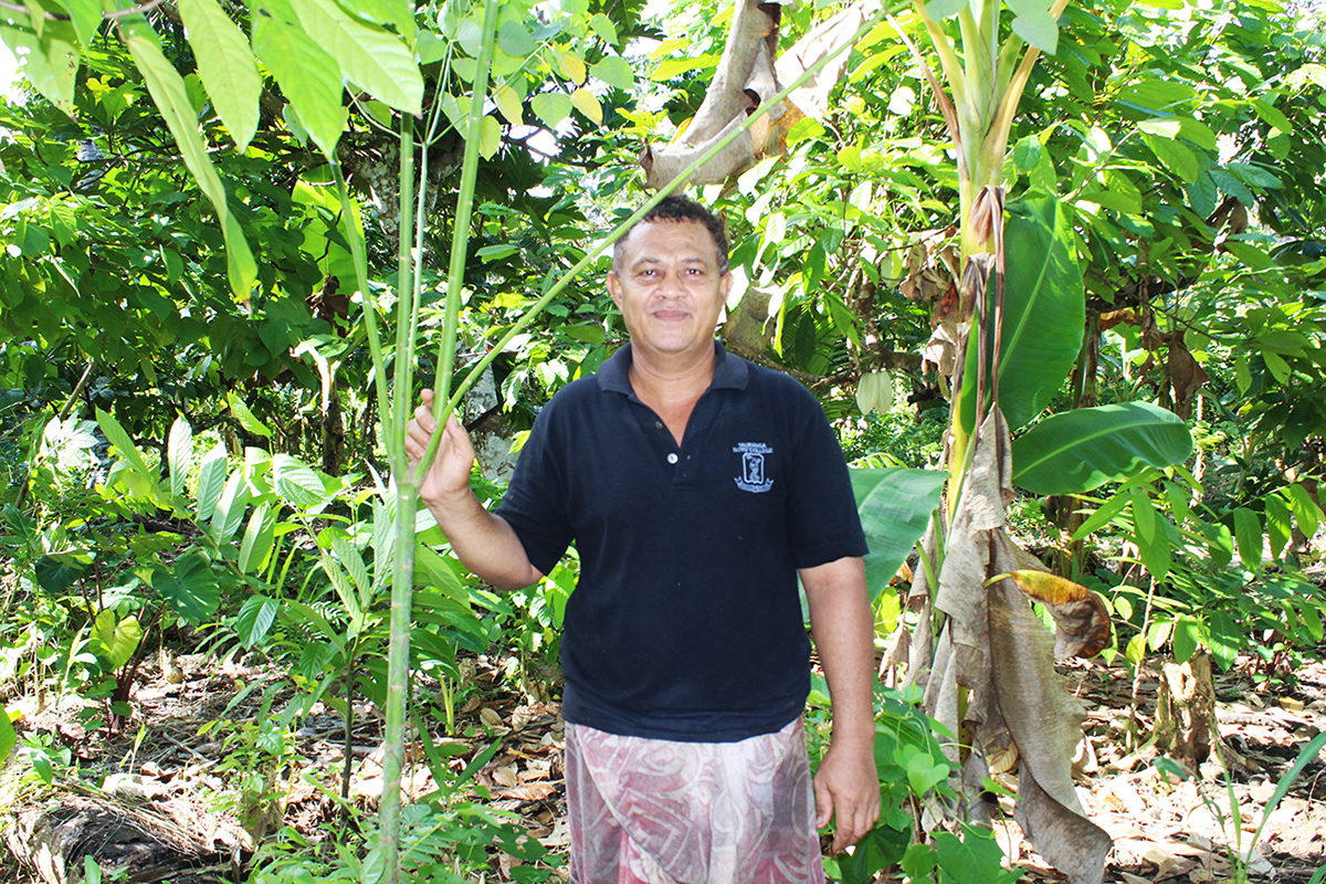 O fanua o se meaalofa sili lea