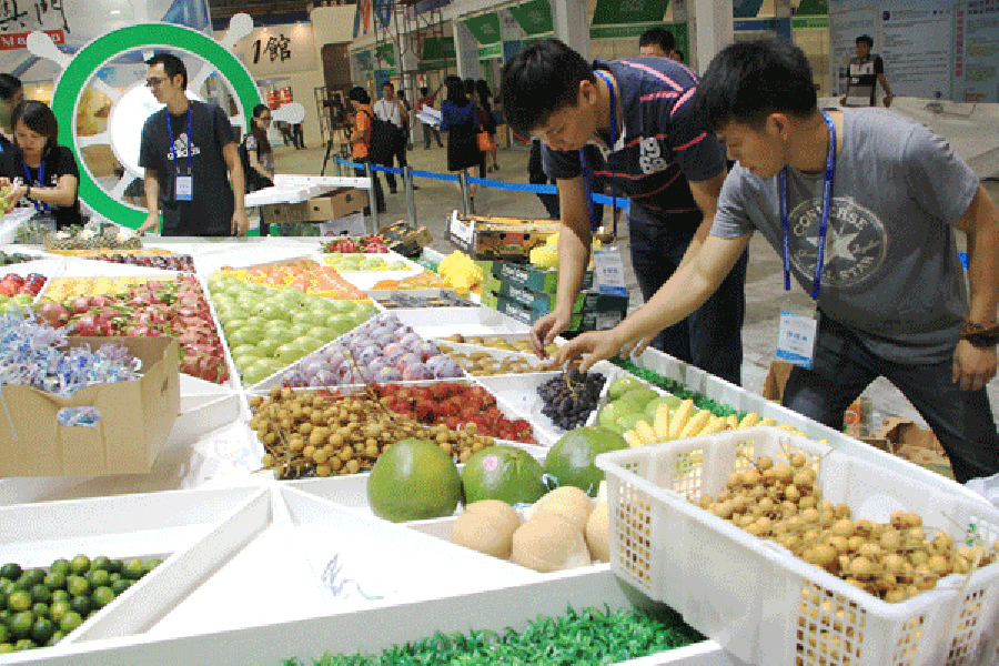 Skyline represents Samoa at Silk-Road International Expo