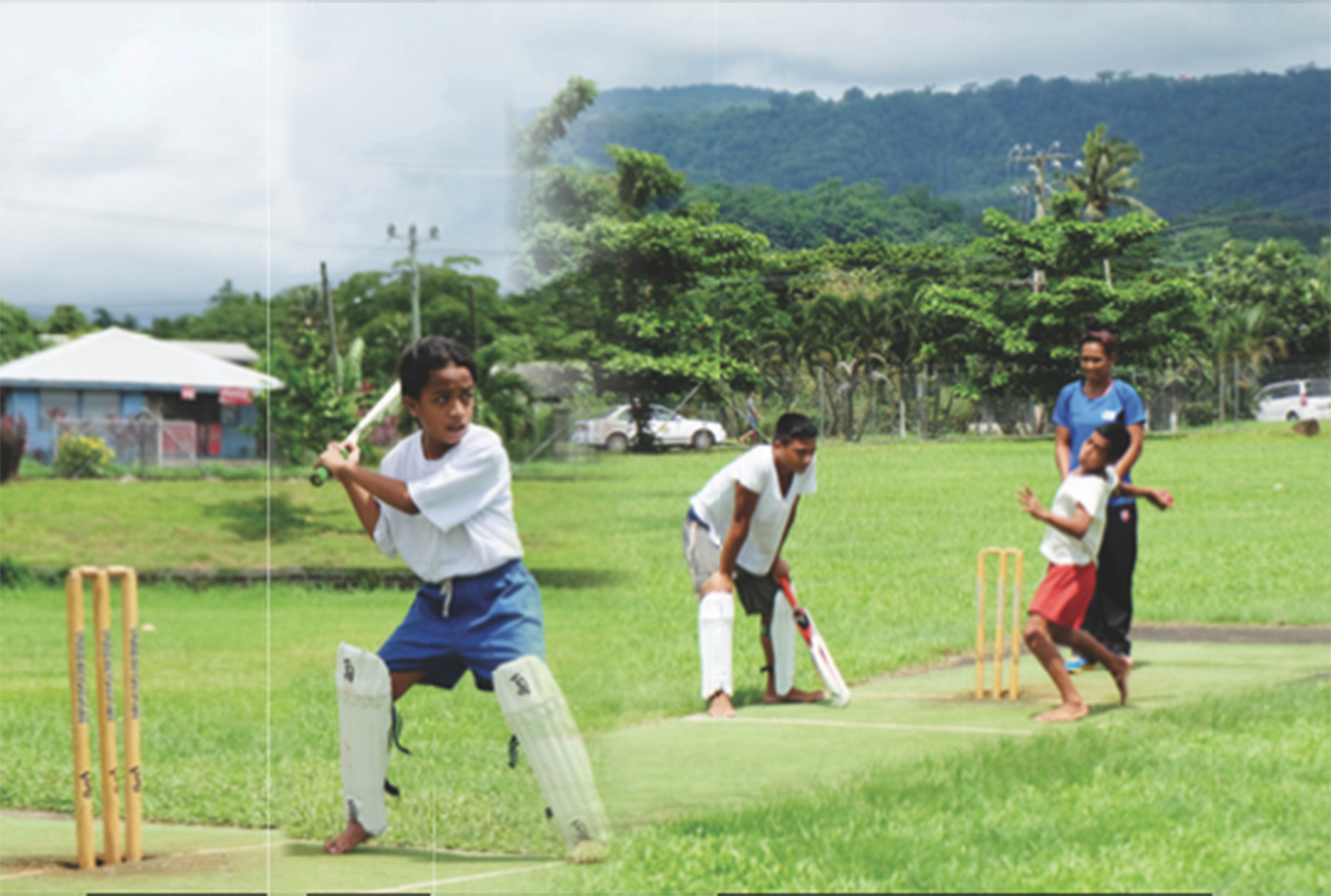 Hardcore Cricket