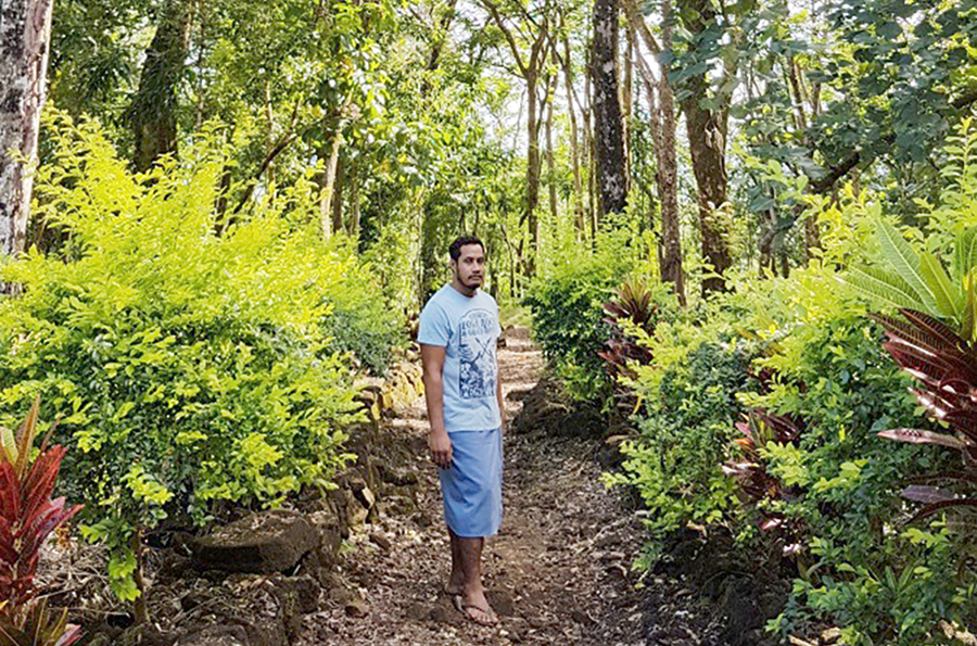Aopo native forest and lava tube caretakers look to improve tourist site