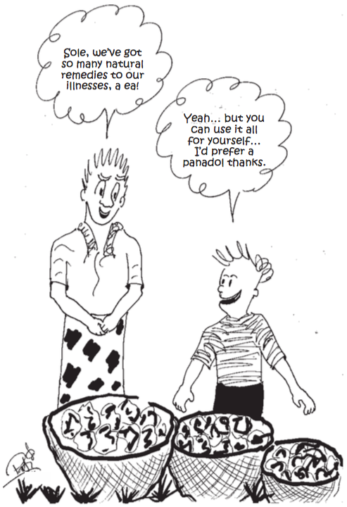 Samoa Observer Cartoon