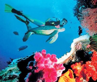 Stand Up Paddle Board Yoga!