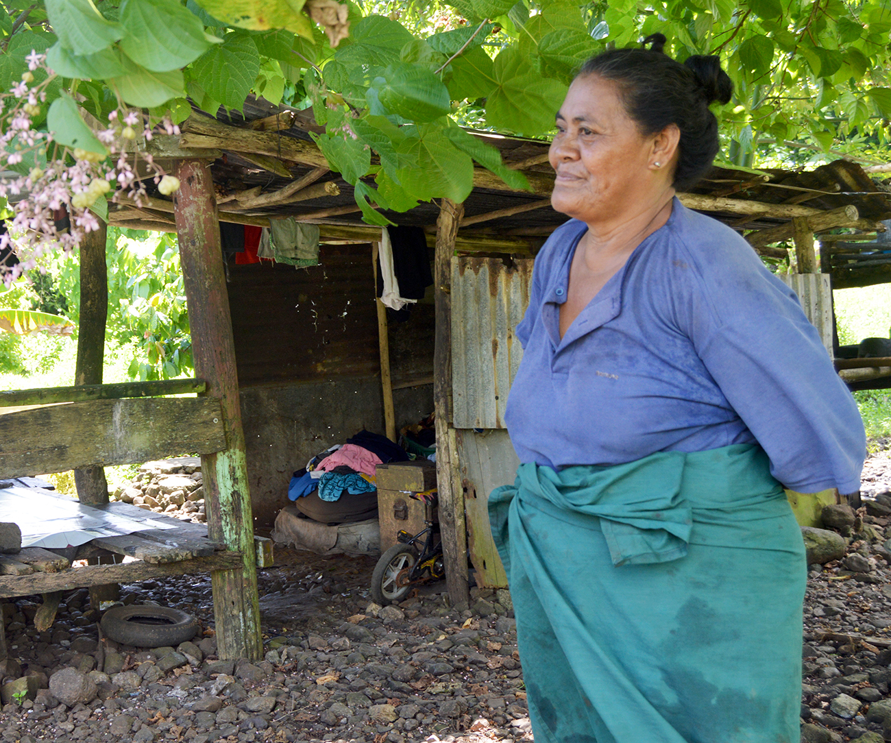 Mana’omia se fesoasoani tau seleni