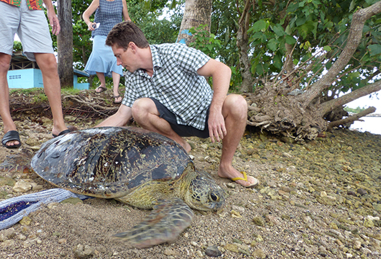 Helping our ocean’s gentle, shy and harmless giant
