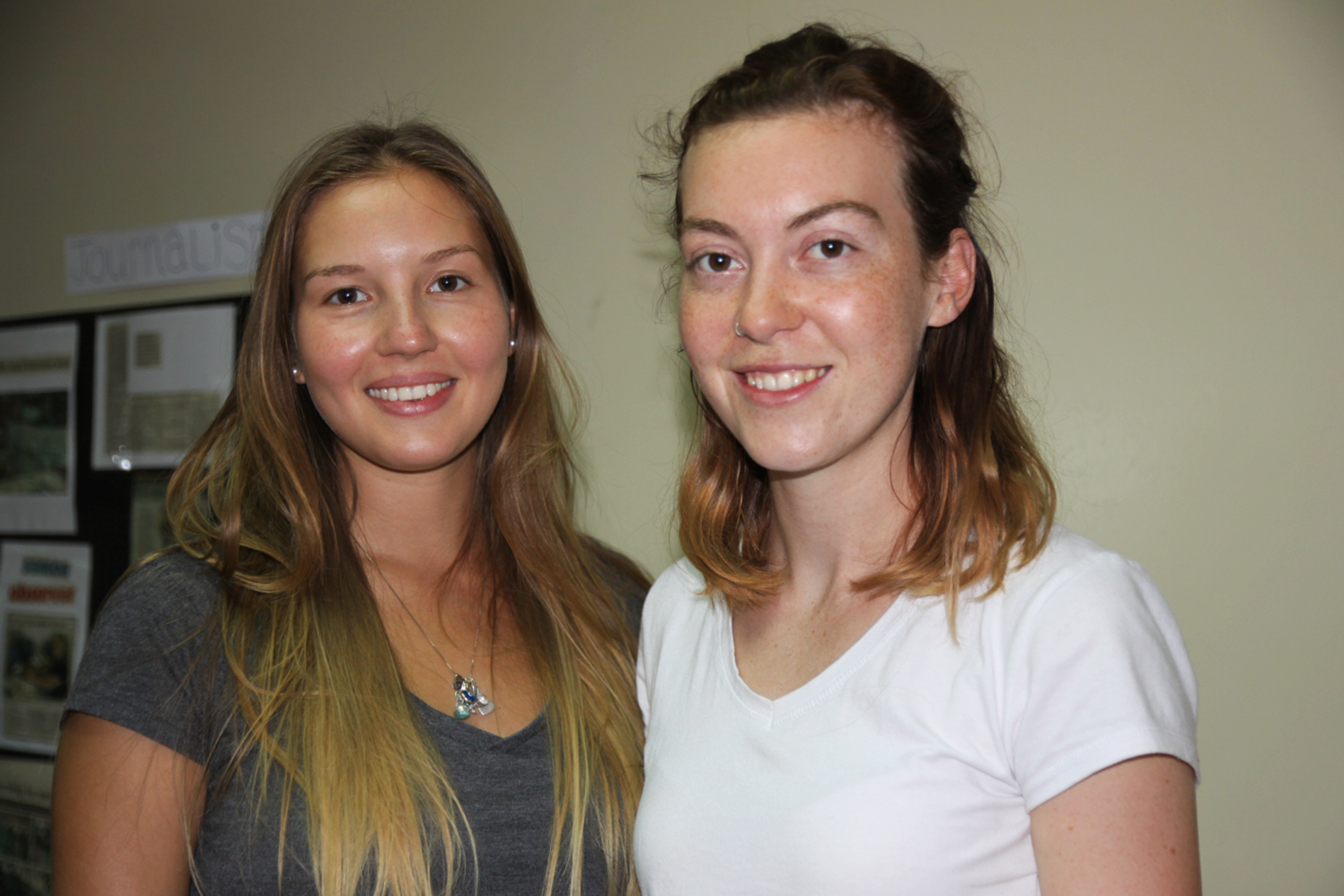 The dog side of ‘paradise’