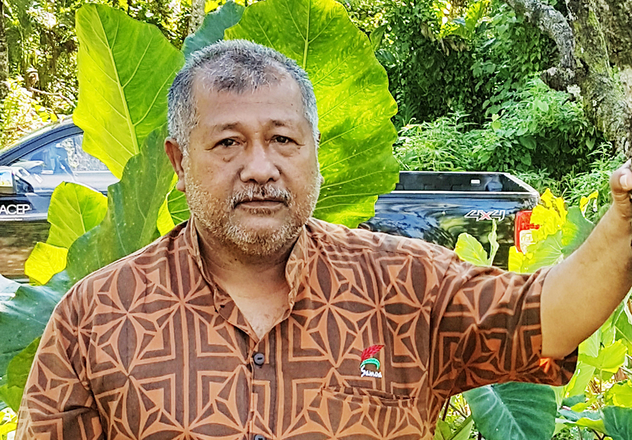 Battle to eradicate rhinoceros beetle