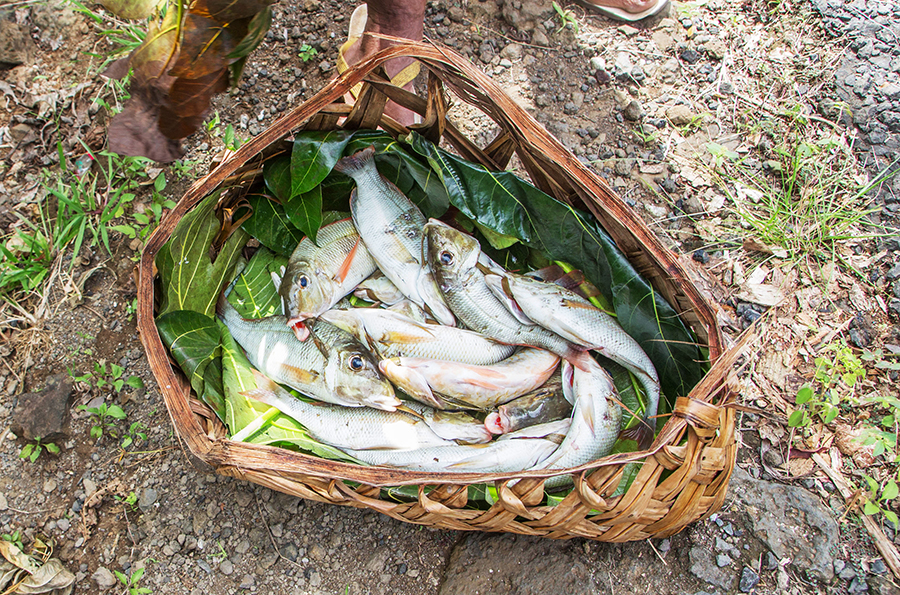 Fisherman tells his story