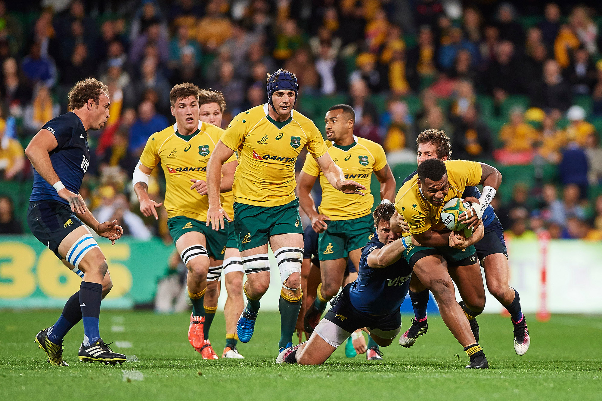 Pumas, Wallabies playing money match at Twickenham