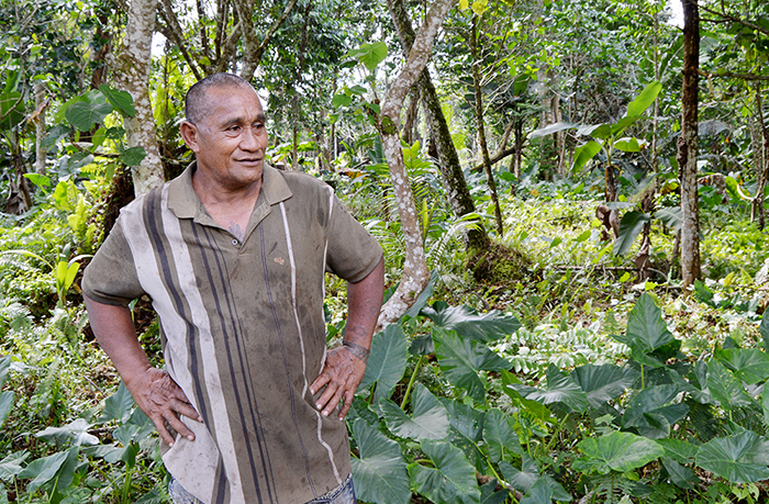 Samoa Observer | Fa’ataua le faifa’ato’aga