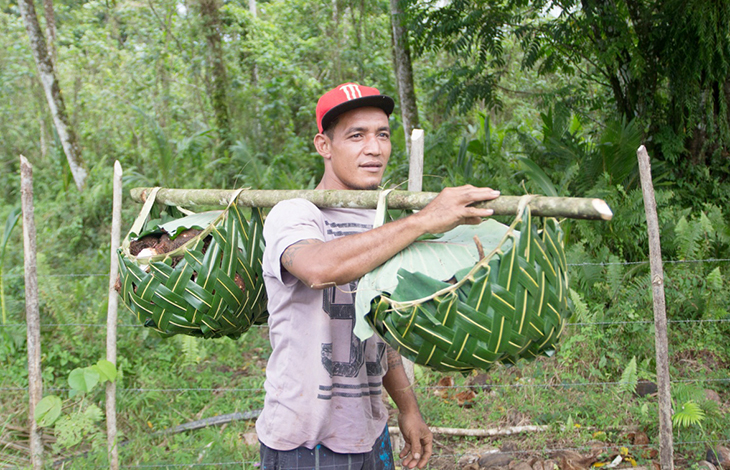 Samoa Rural Samoa Observer | Rural farmers need helping hand