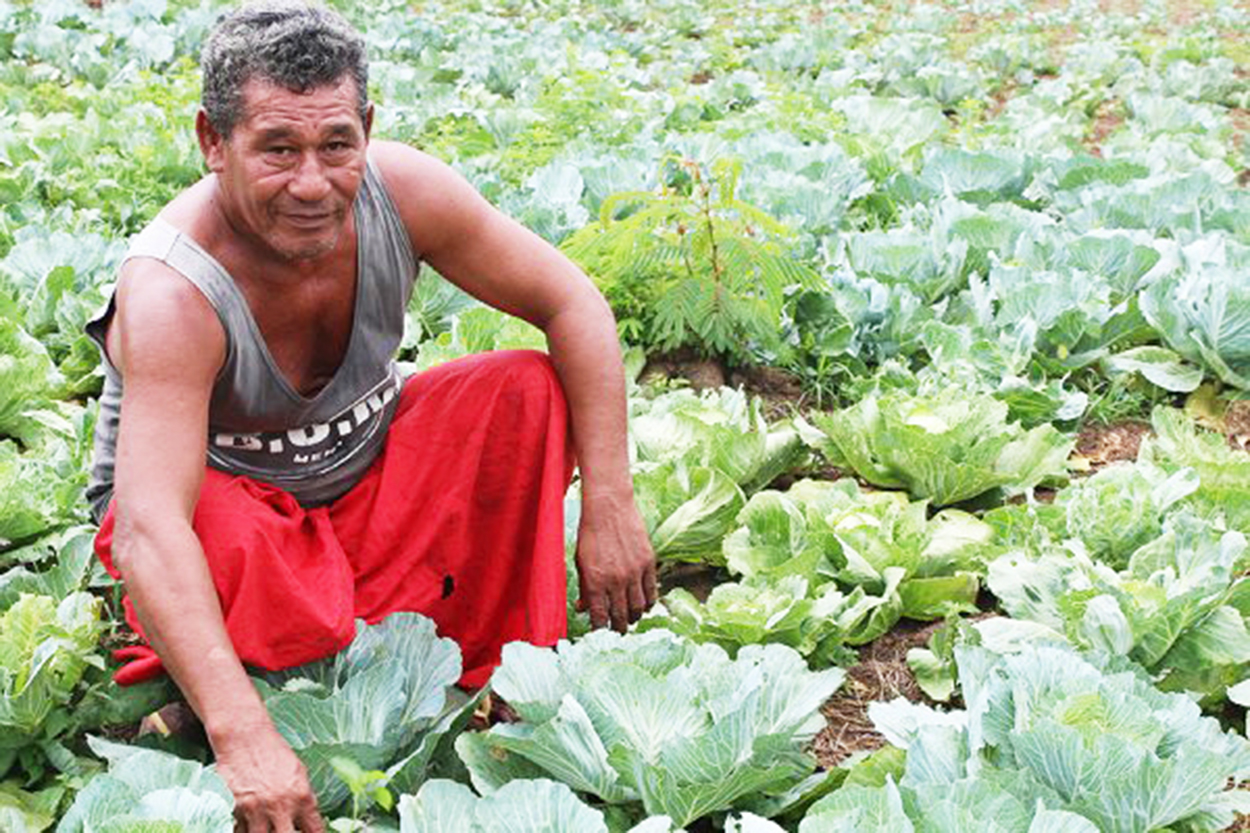 Trial over deadly car collision begins