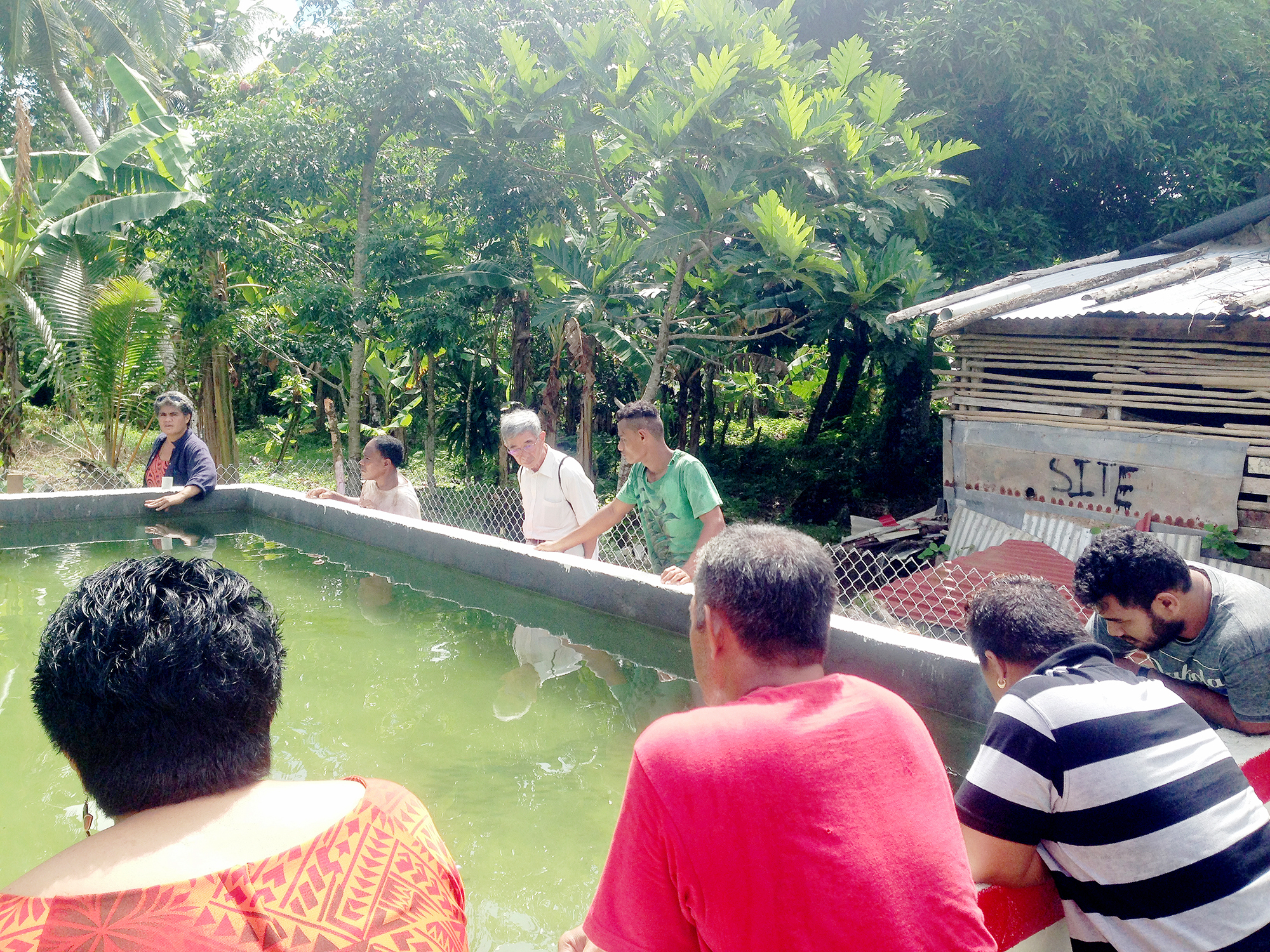 Fish in the forest at Manunu