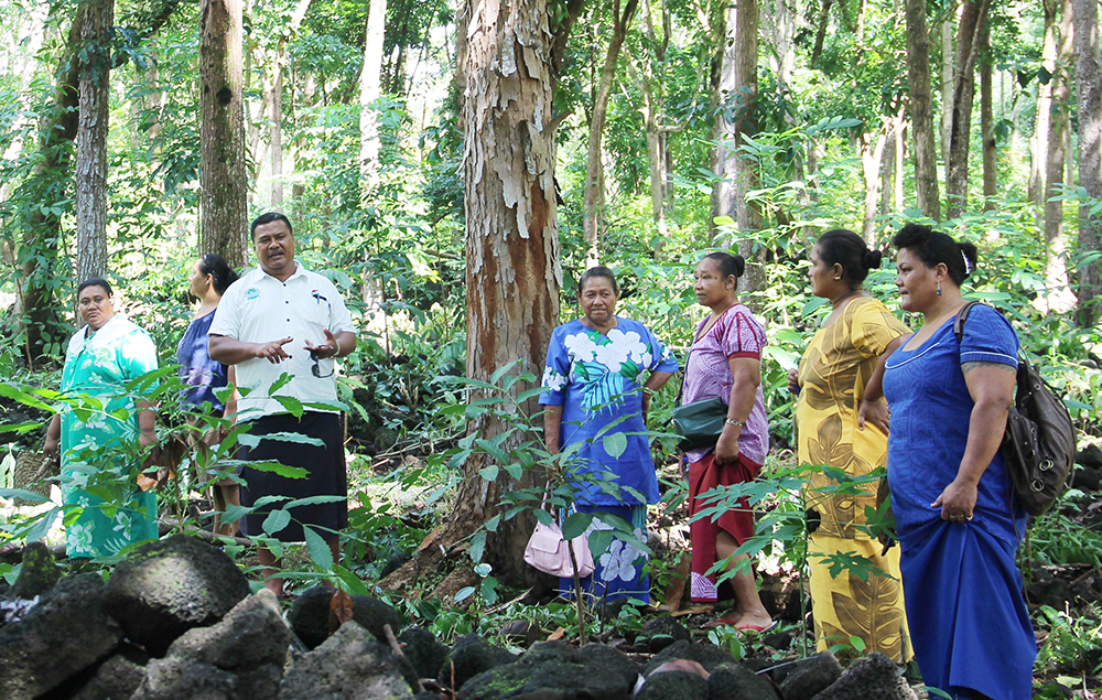 Land, water and climate change