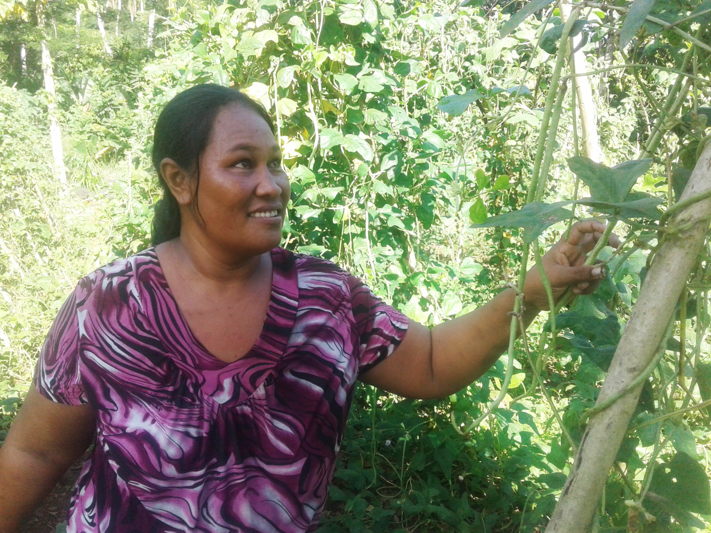 Living off vegetables