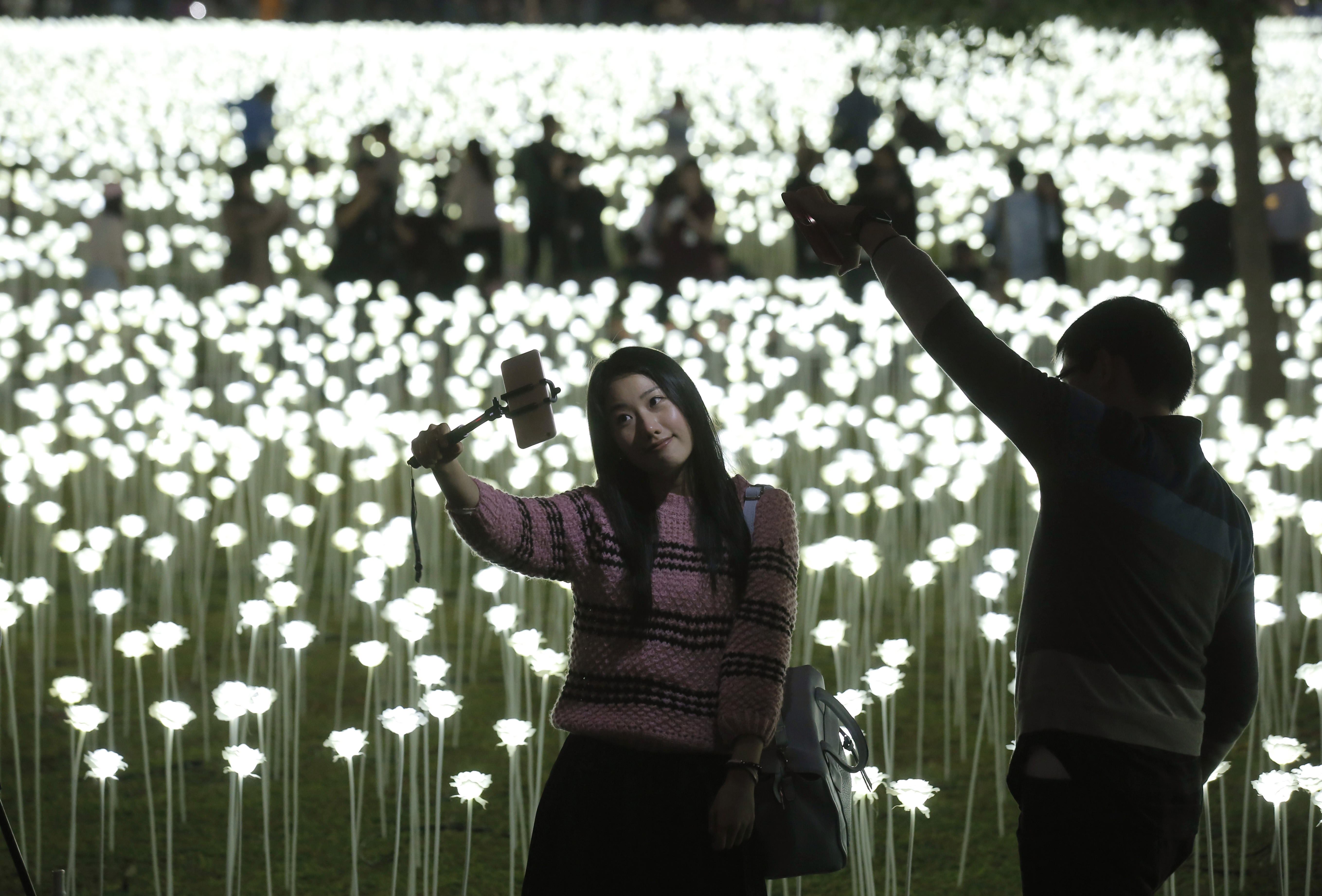 Hong Kong hosts Valentine's Day with 25,000 LED roses