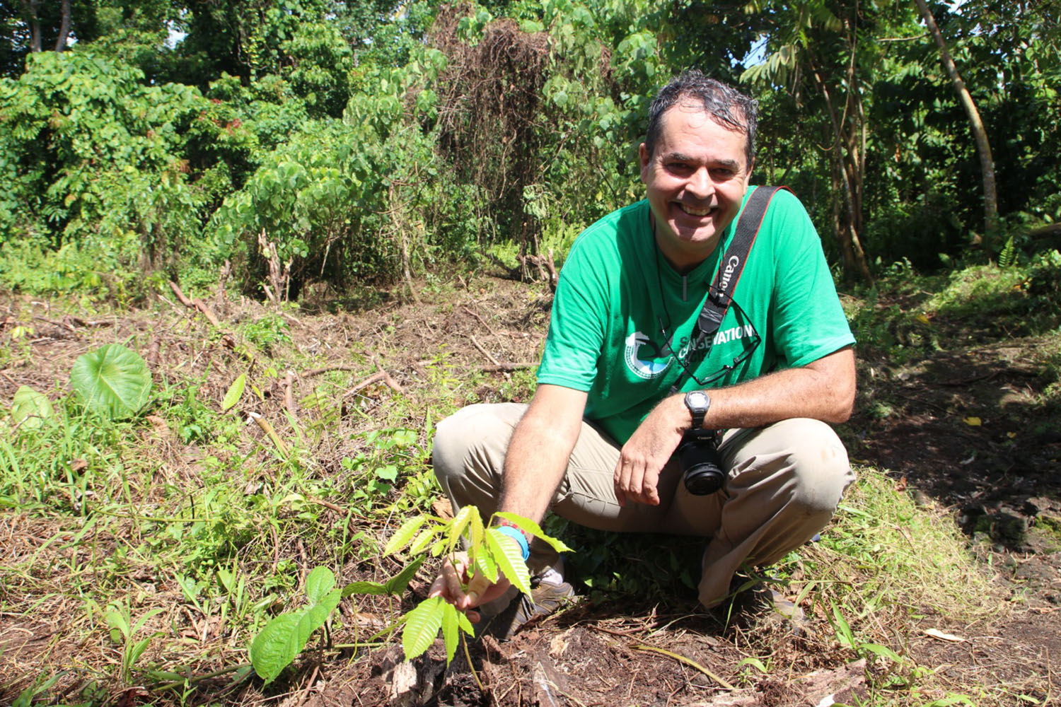 Healing Samoa’s forests