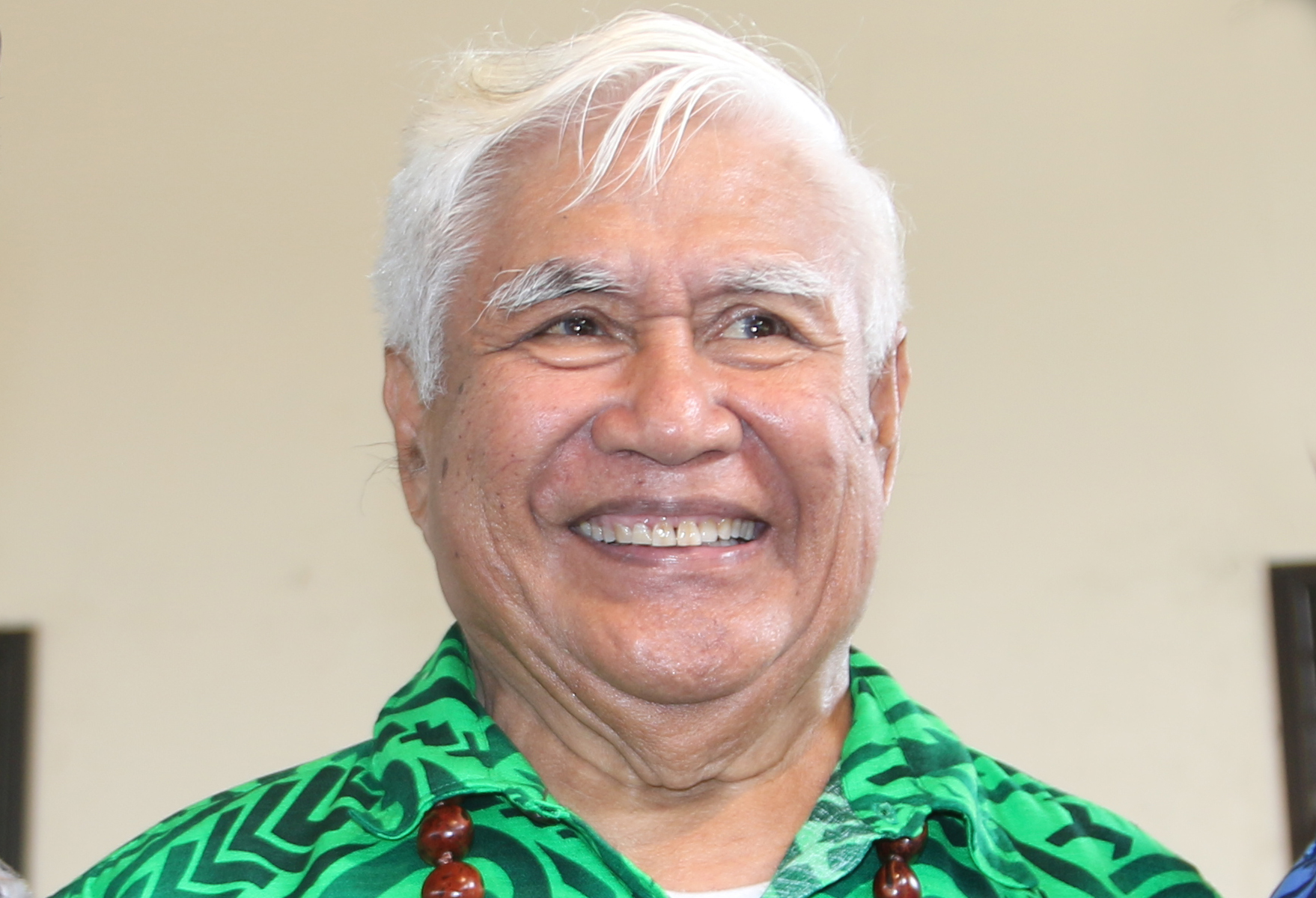 ‘Ou te le’i pepelo’