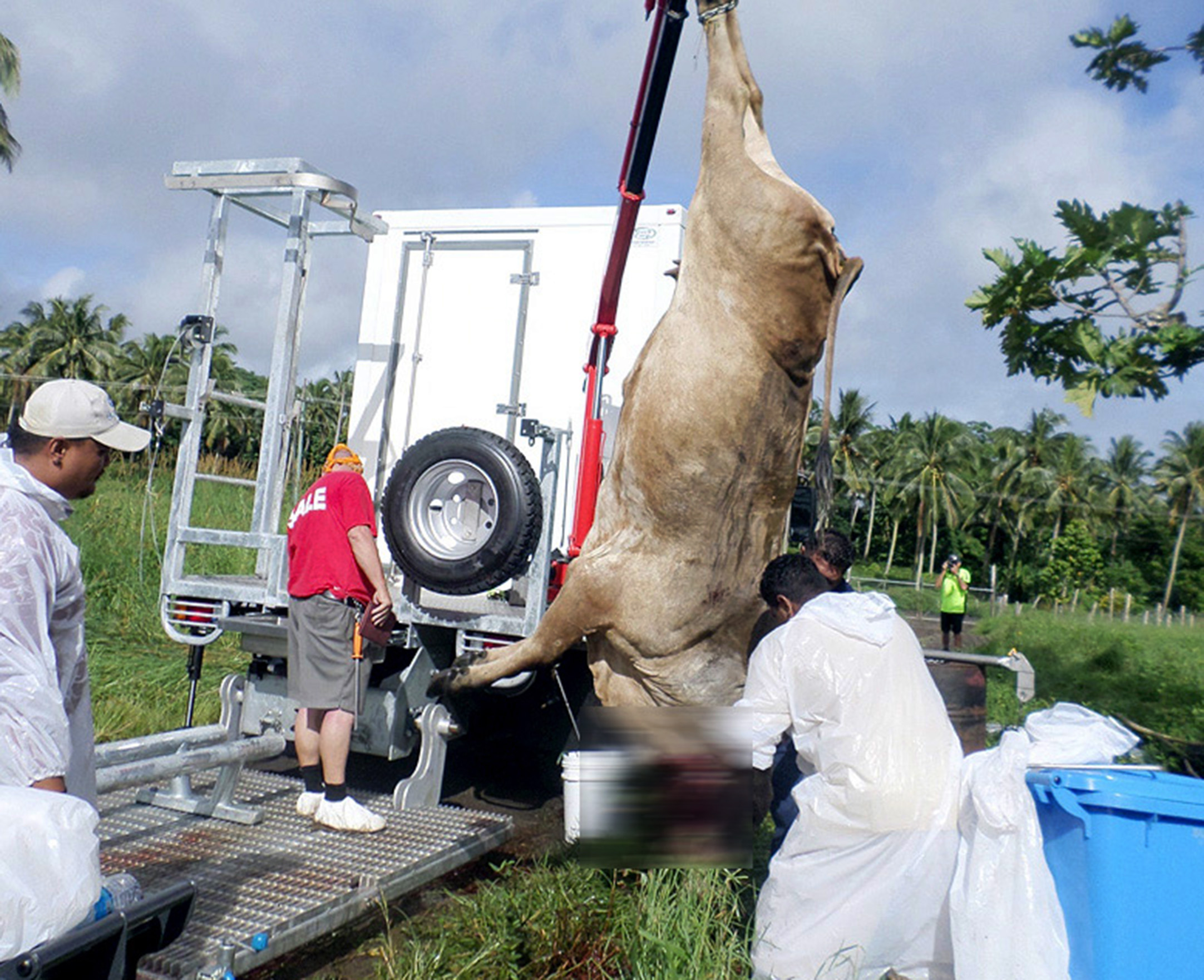 Samoa’s chiller on wheels