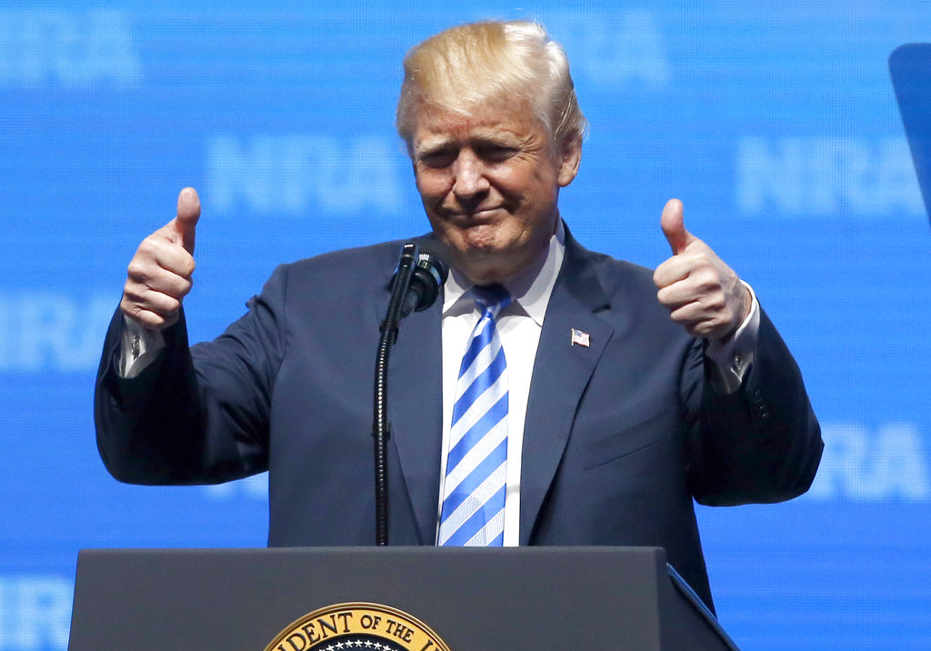 Trump salutes NRA, says elect Republicans to save gun rights