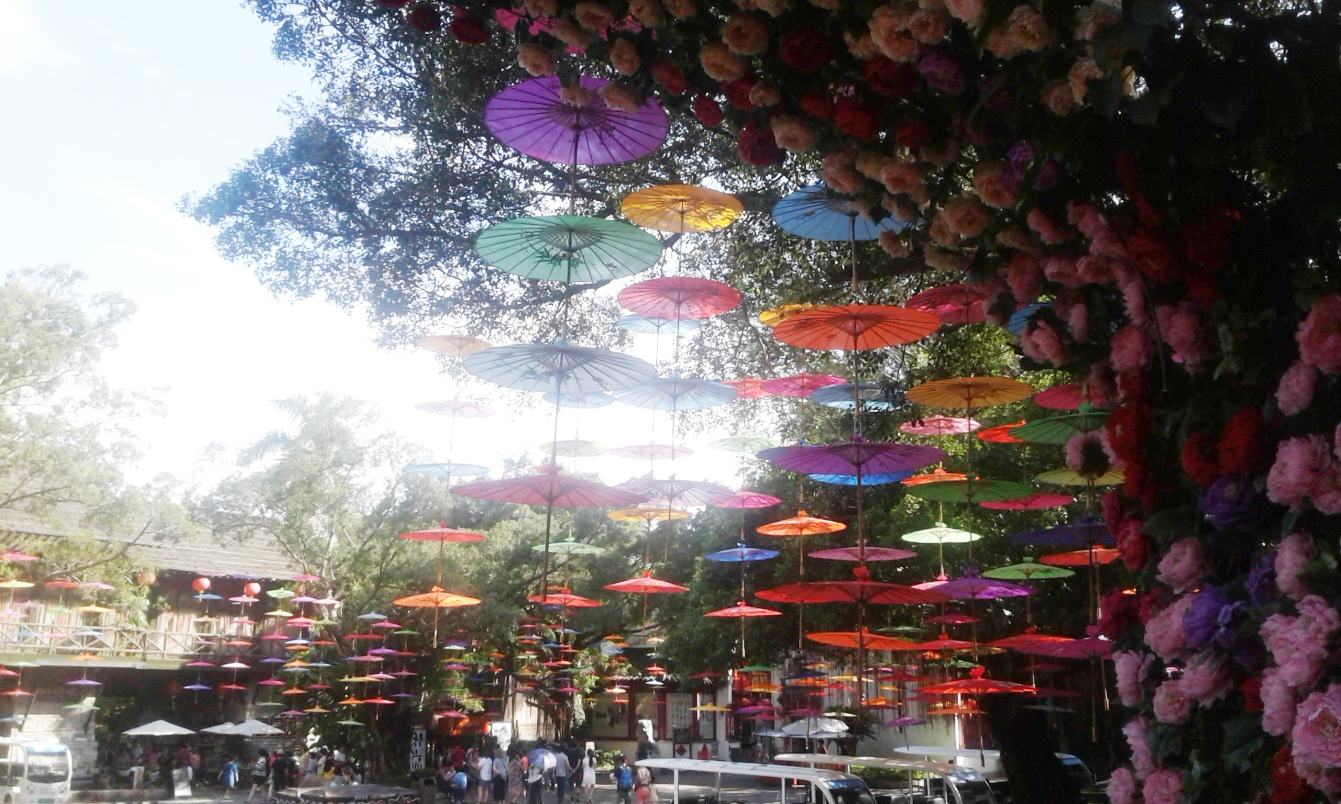 Hao’s Journey – the wanderings of a little red bird