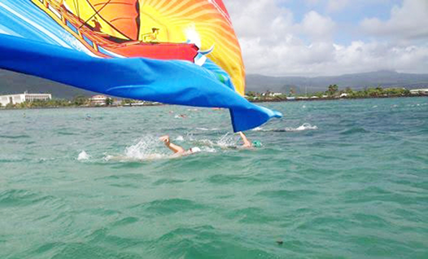 Swim the Harbour of history