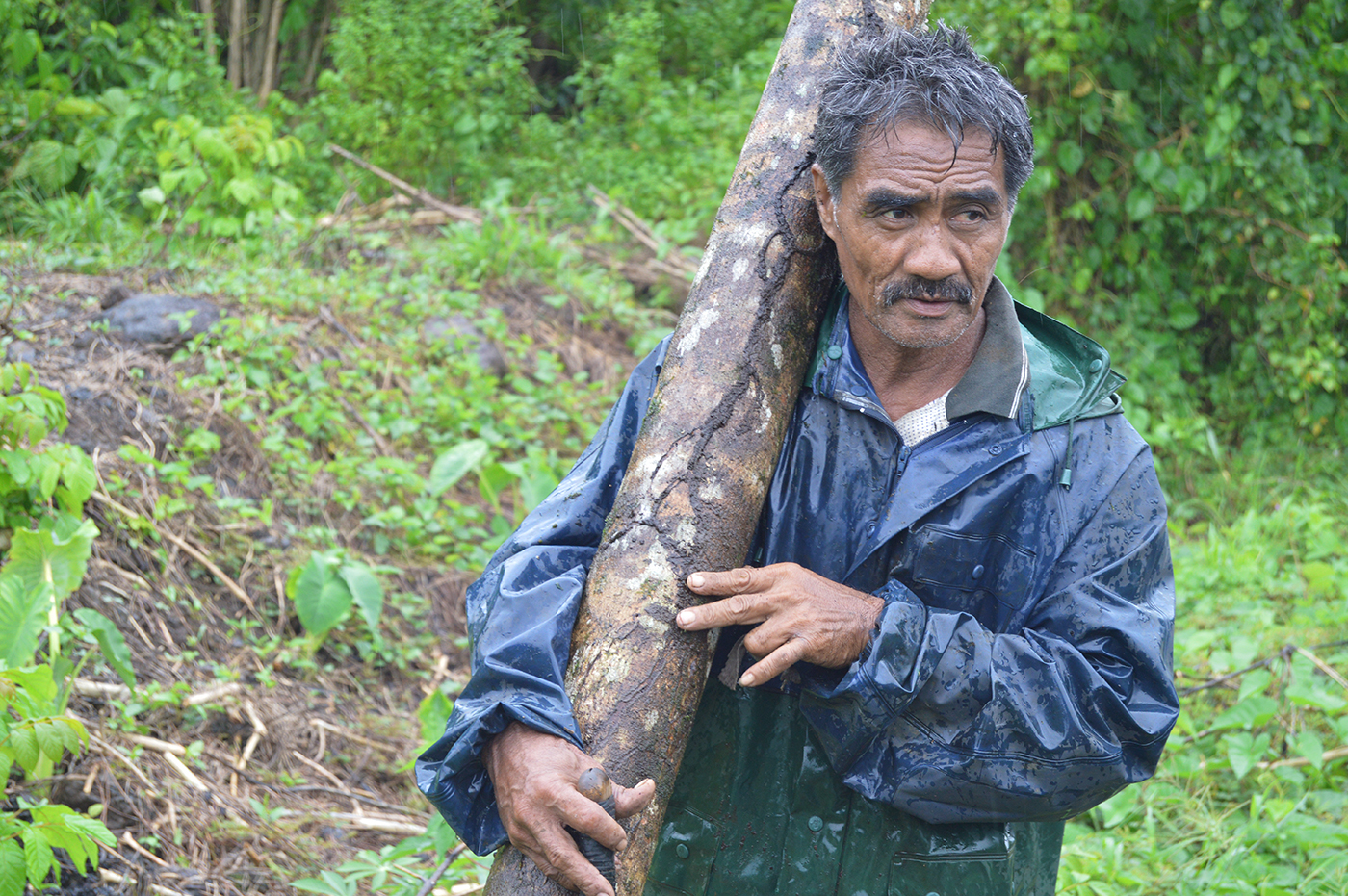 Rain or shine, Sefo works