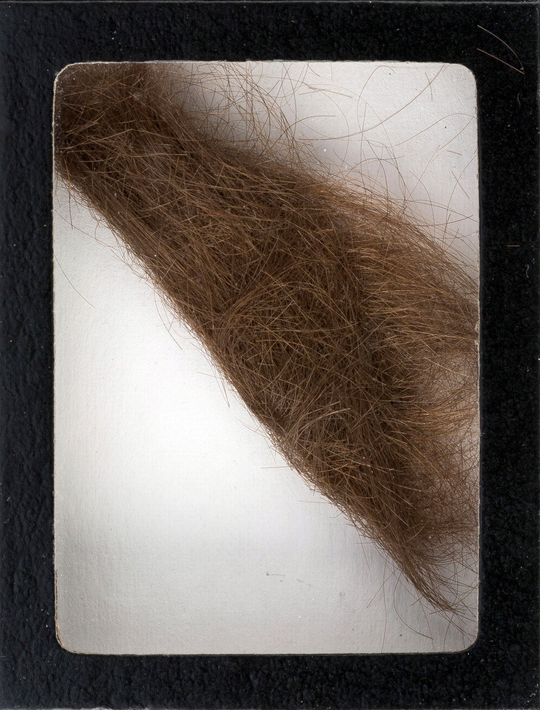 Lock of John Lennon's hair fetches $35,000 at auction