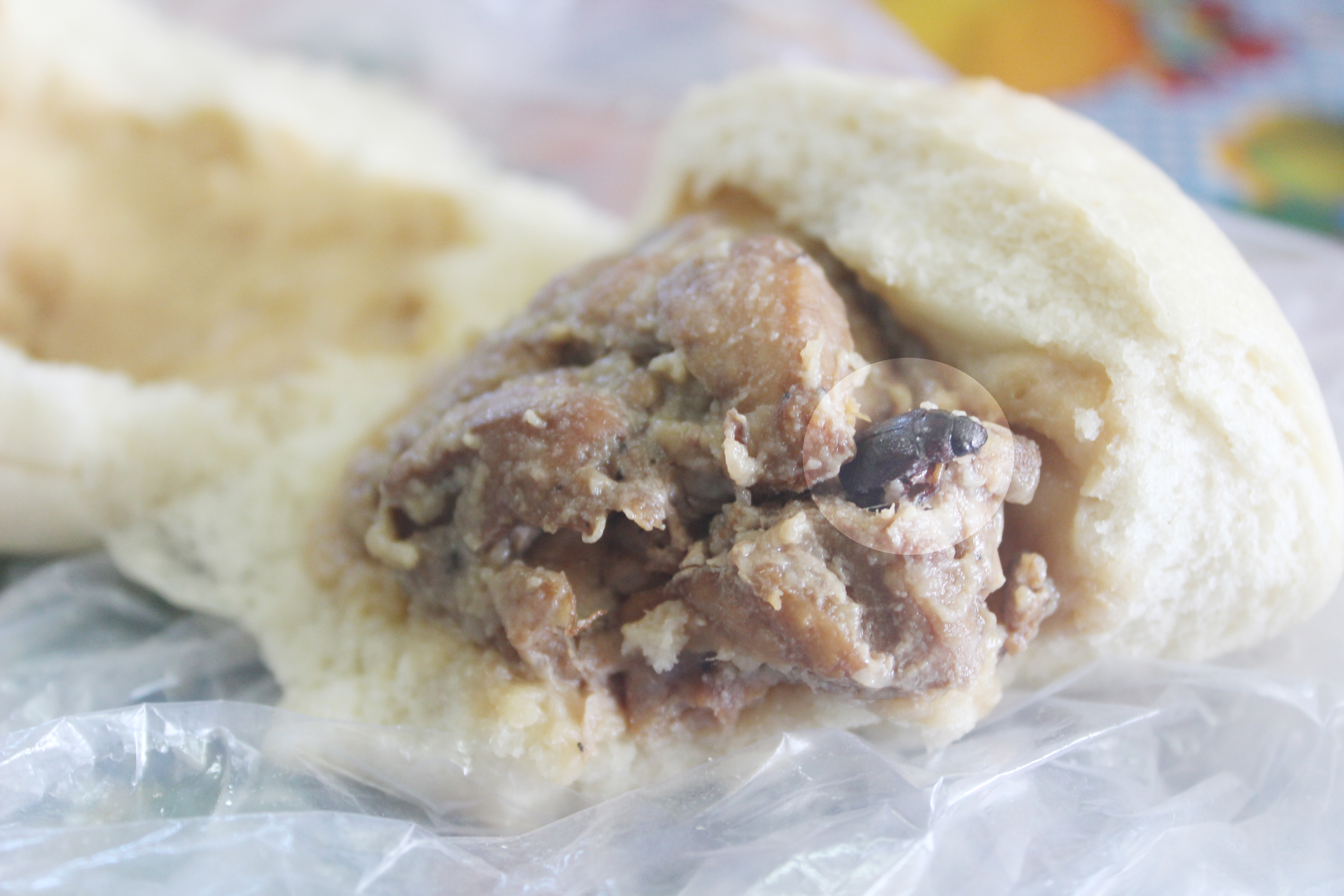 Cockroach horror - Young student finds cockroach in her pork bun