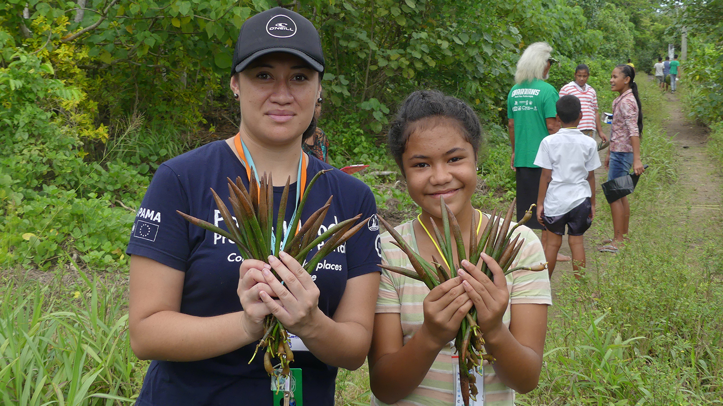 Trees, more than just dollar signs