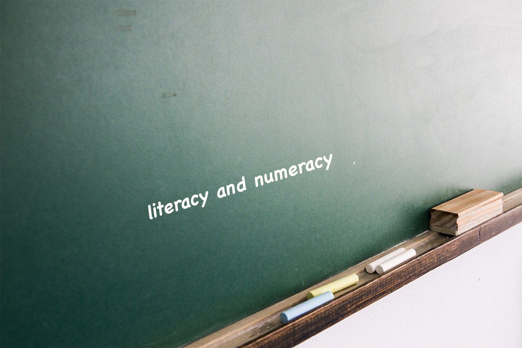 Report slams education system